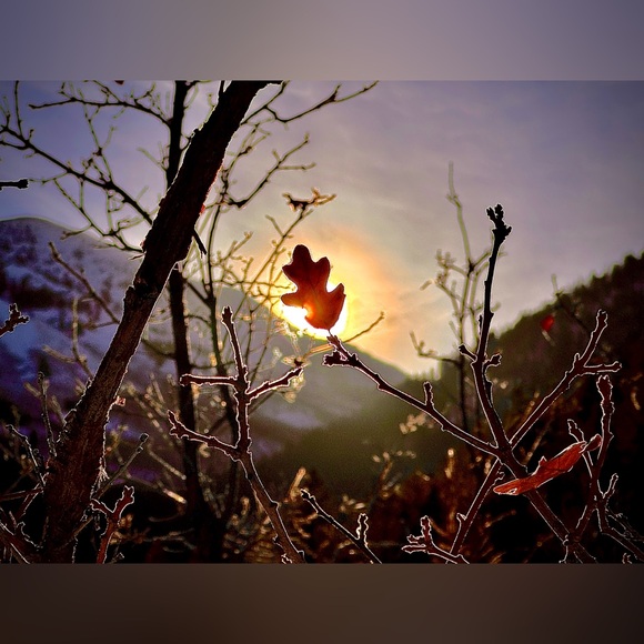 Meet your Posher, Benz Her - Picture 7 of 16